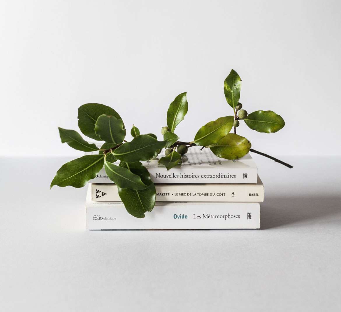 Accessibility for Everyone